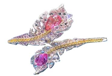 Description of Image 1